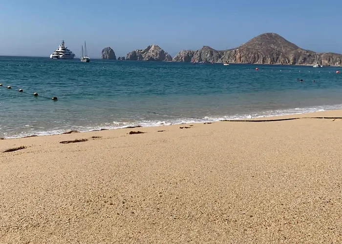 Walking Distance To The And Marina